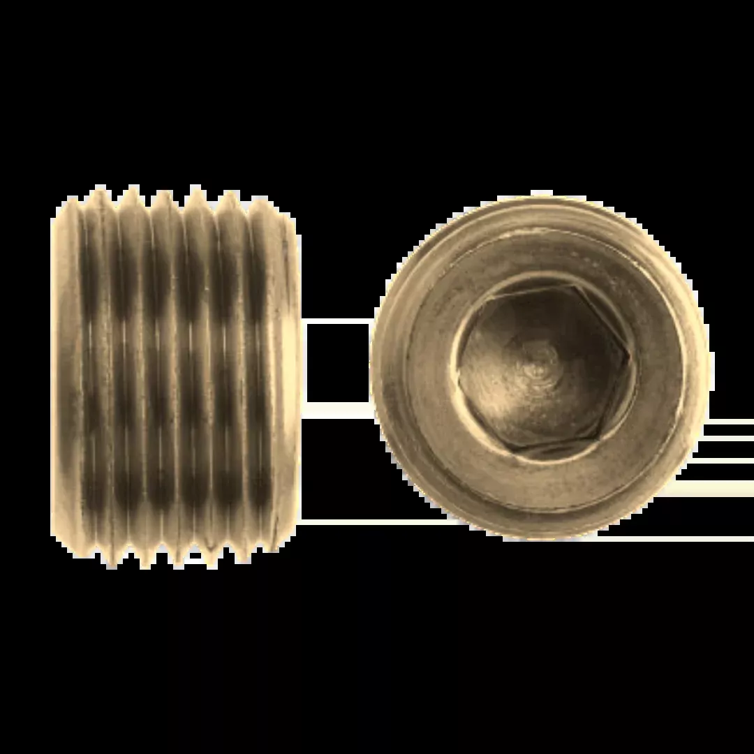 5406-HP-02-B : OneHydraulics Brass Hollow Hex Pipe Plug, 1/8-27 (-02) Male NPTF