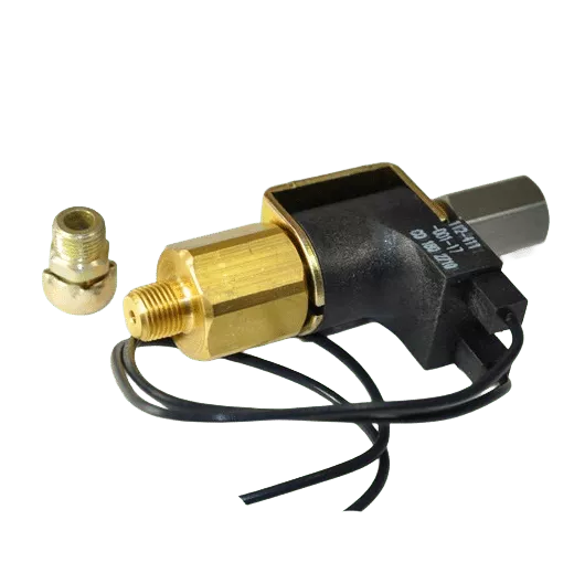 72R1502 Red Dot Solenoid Valve – 12V