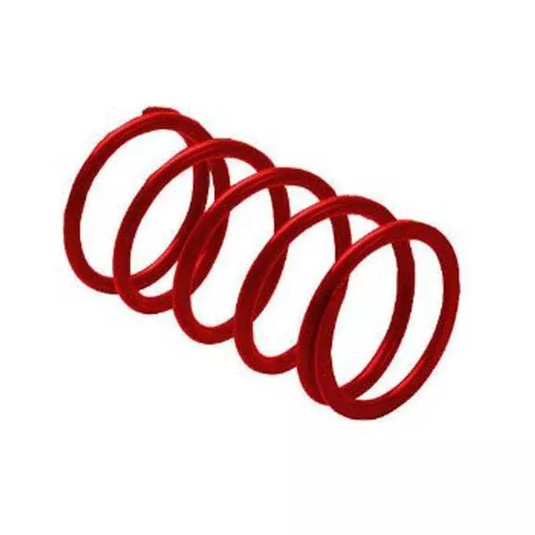EPI SECONDARDY DRIVEN CLUTCH SPRING (SRER12)