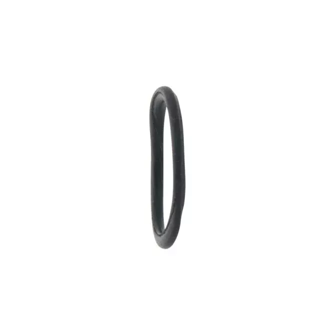 N1051 Iwata Neo Handle O-Ring